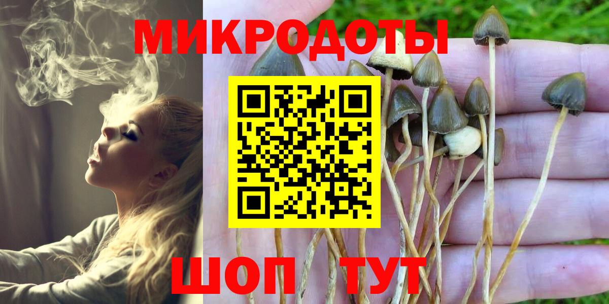 Изобильный  Псилоцибиновые грибы мицелий  Псилоцибиновые грибы Psilocybe  Вход с VPN 